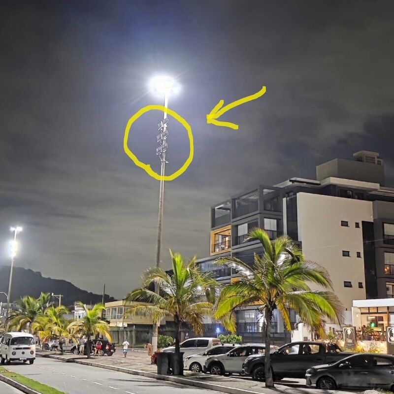 Imagem da publicação