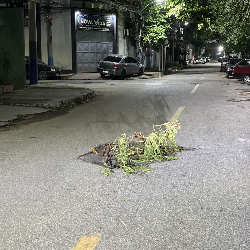 Imagem da publicação