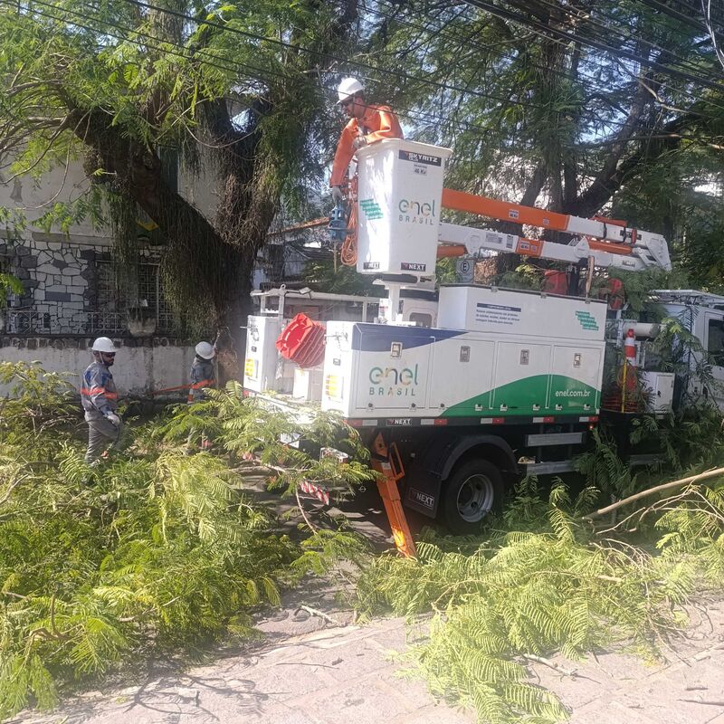 Imagem da publicação
