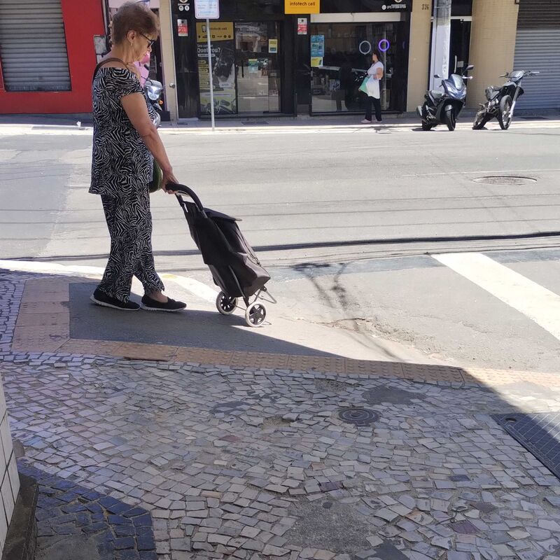 Imagem da publicação