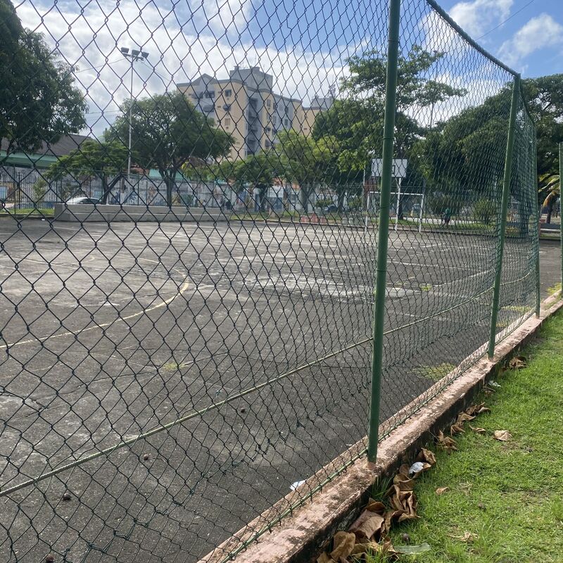 Imagem da publicação