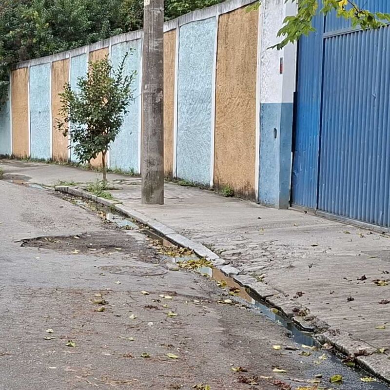Imagem da publicação