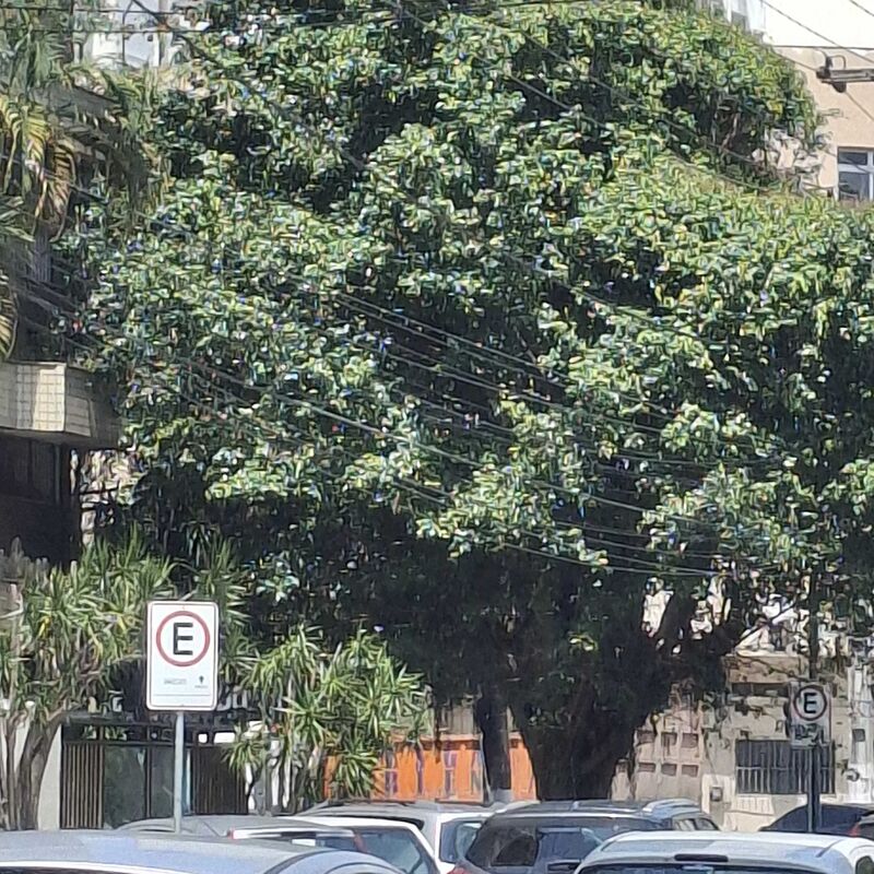 Imagem da publicação