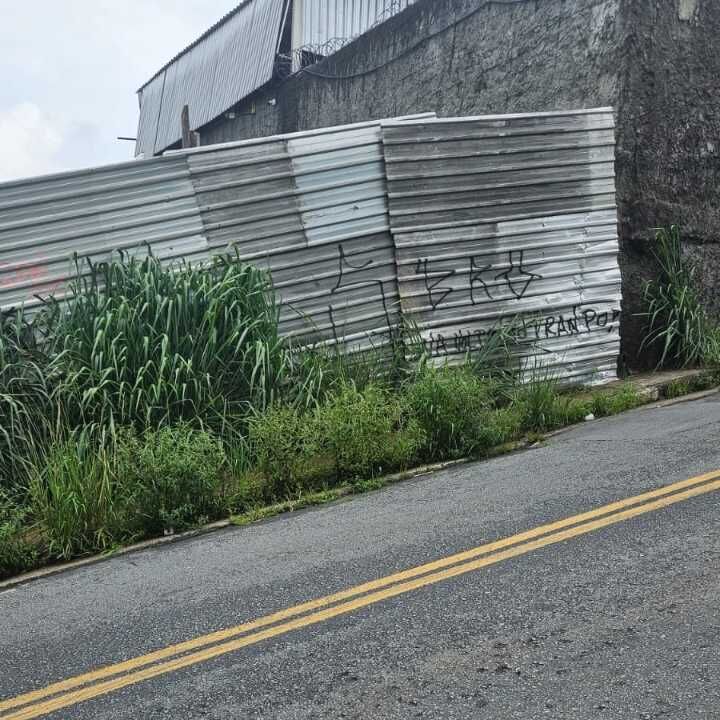 Imagem da publicação