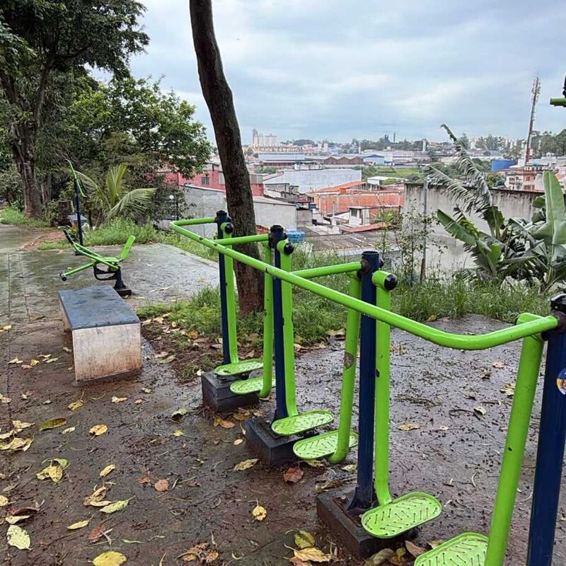 Imagem da publicação