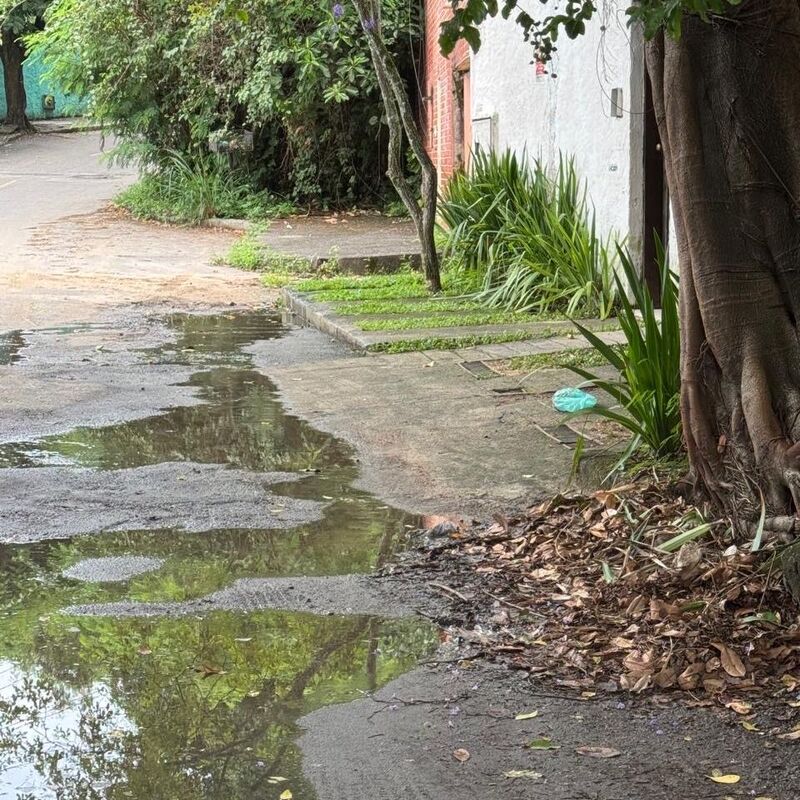 Imagem da publicação