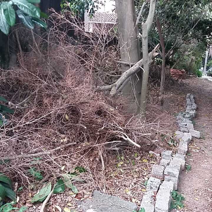 Imagem da publicação