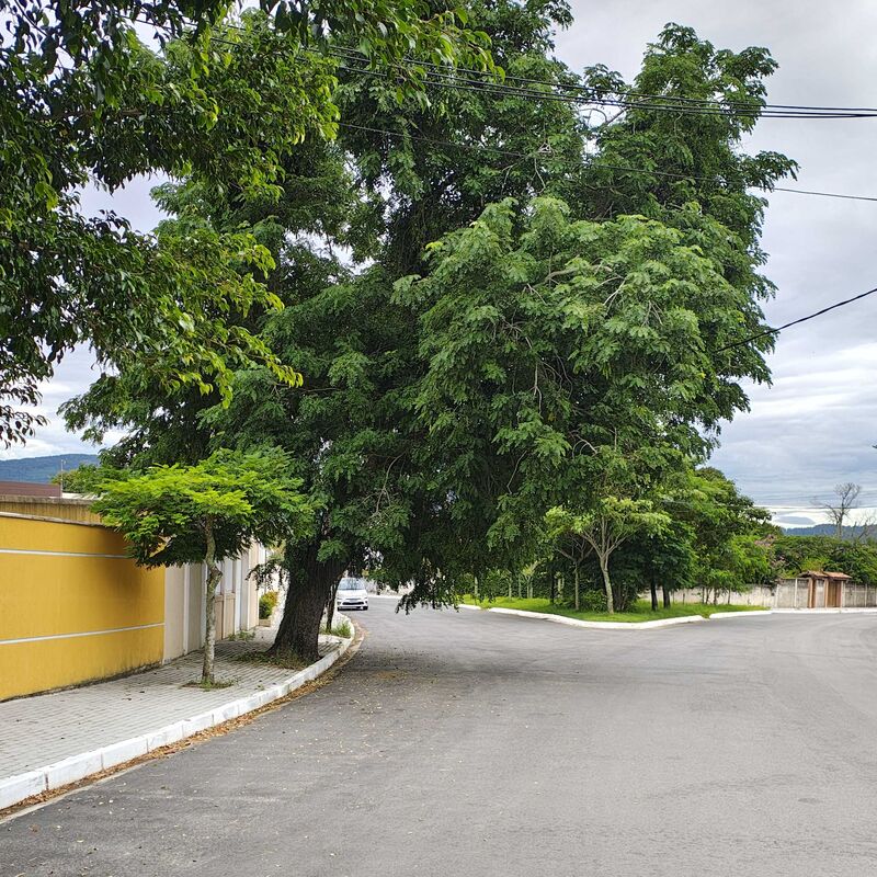 Imagem da publicação