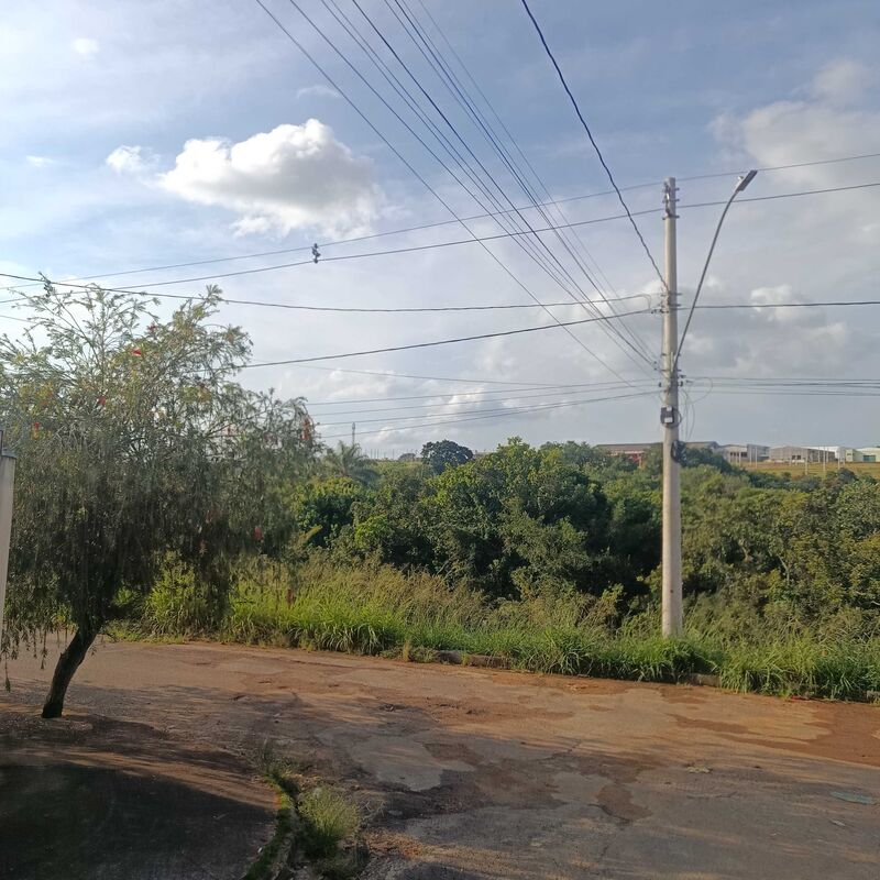 Imagem da publicação