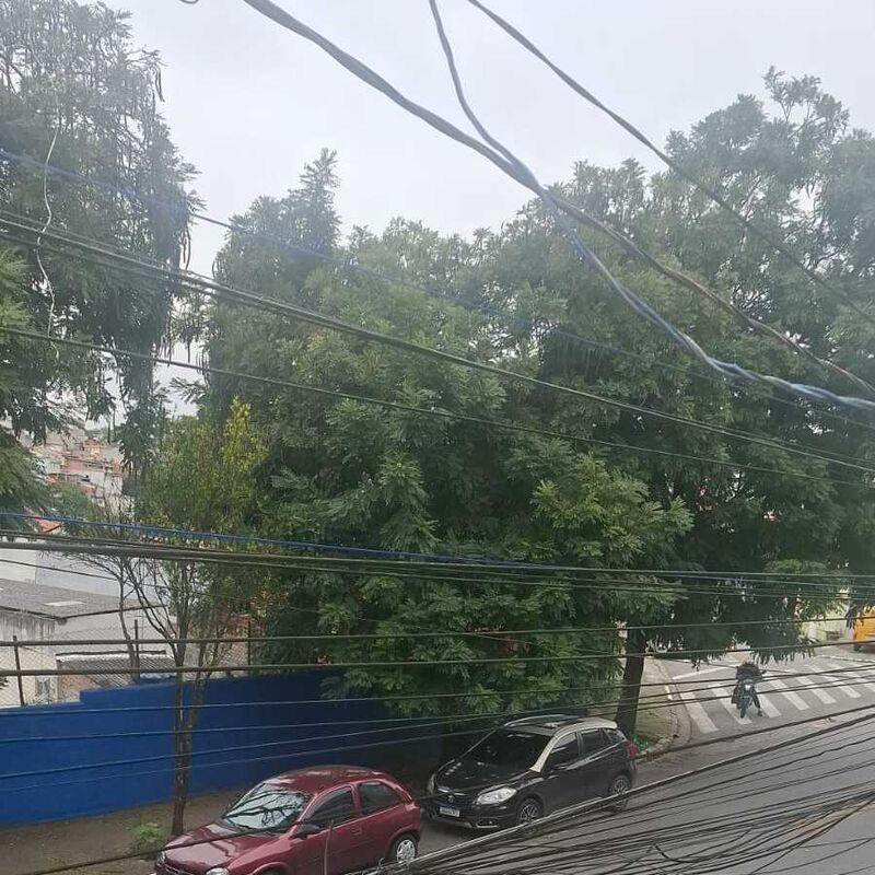 Imagem da publicação