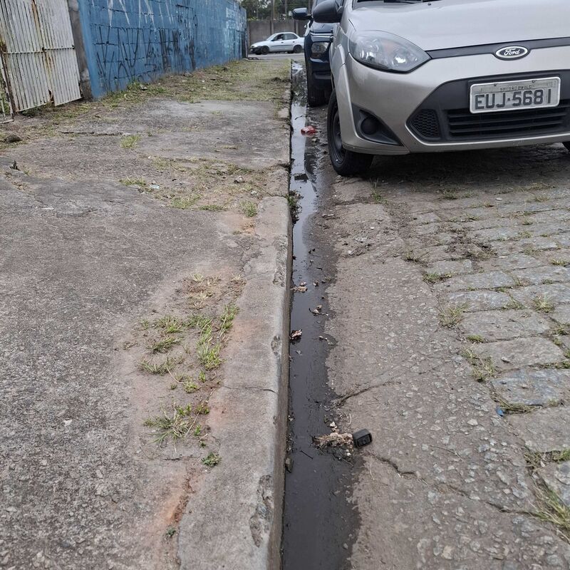 Imagem da publicação