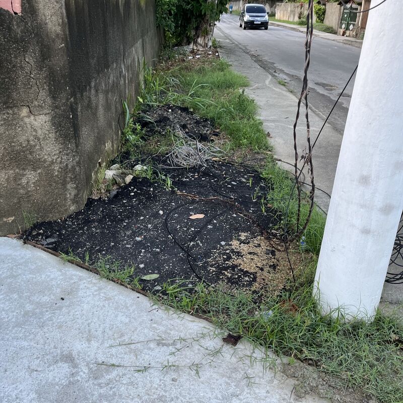 Imagem da publicação