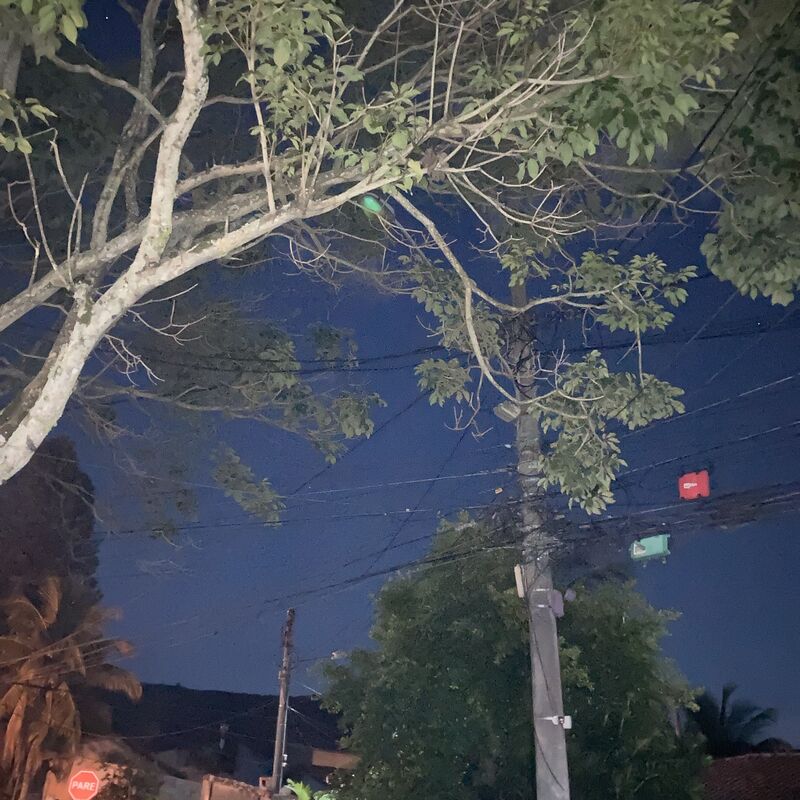 Imagem da publicação