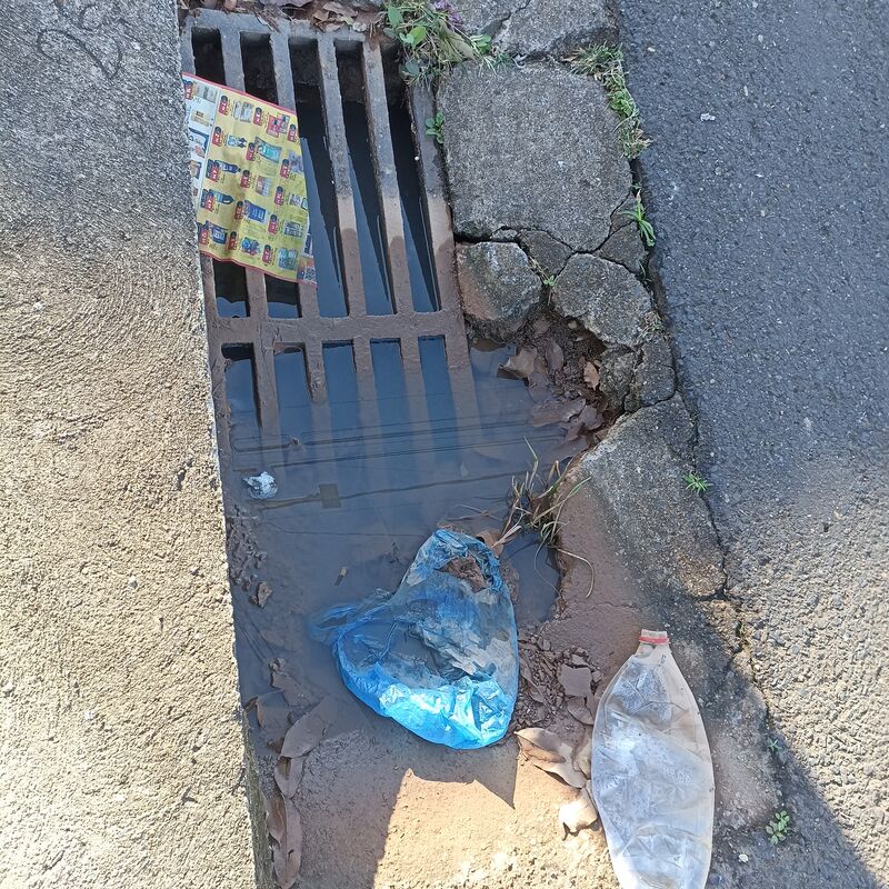 Imagem da publicação