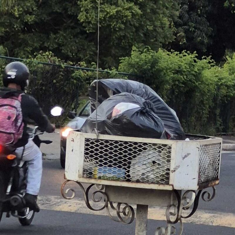 Imagem da publicação