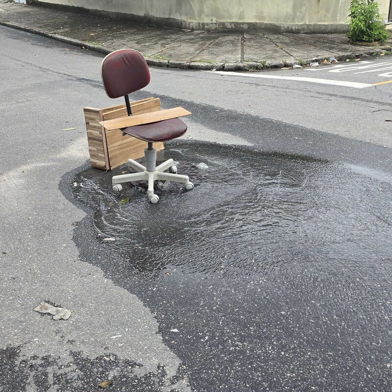 Imagem da publicação