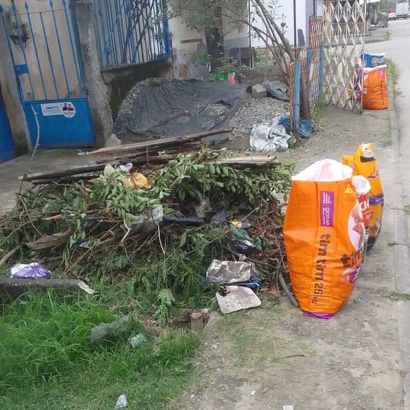 Imagem da publicação