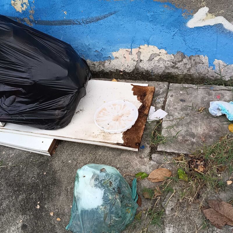 Imagem da publicação