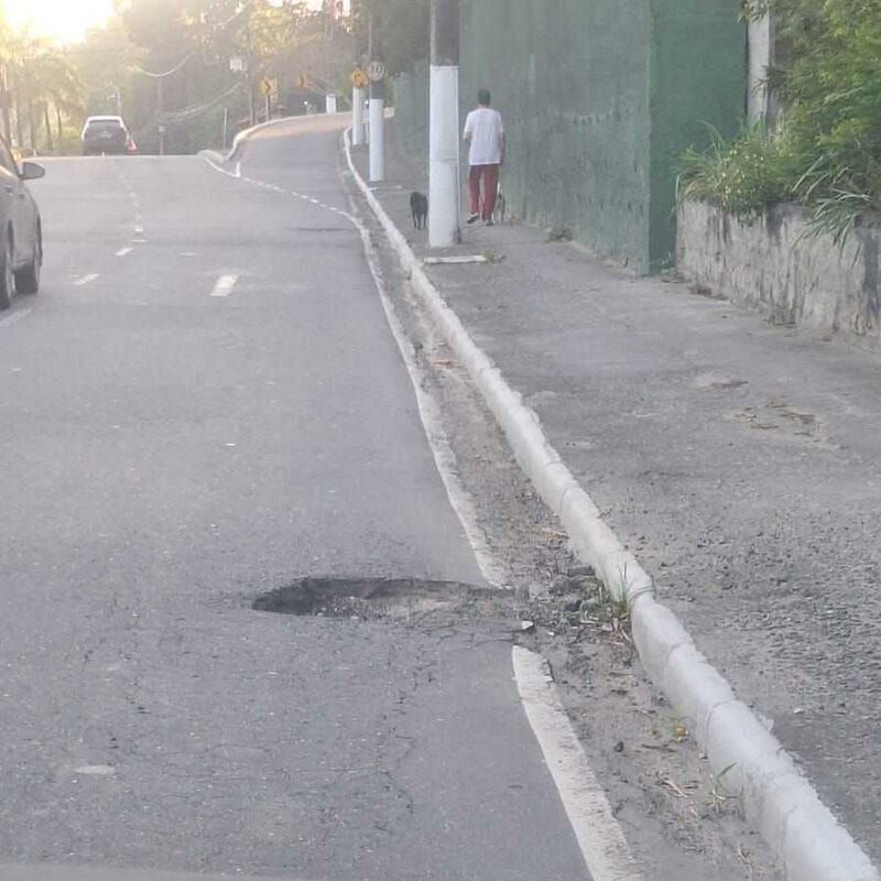 Imagem da publicação