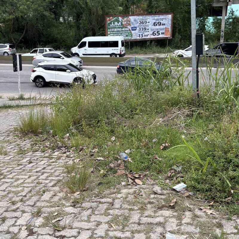 Imagem da publicação