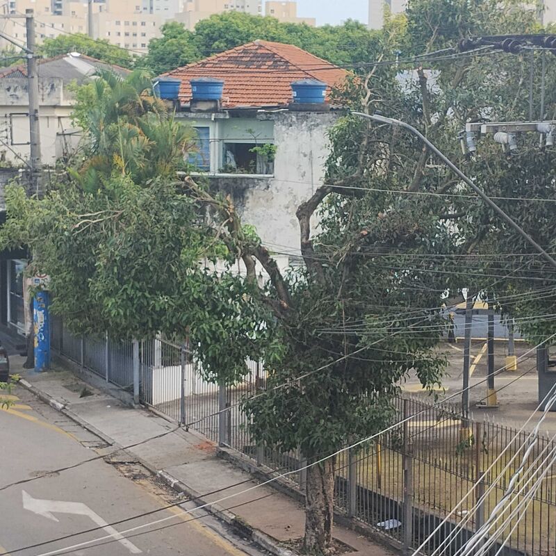 Imagem da publicação