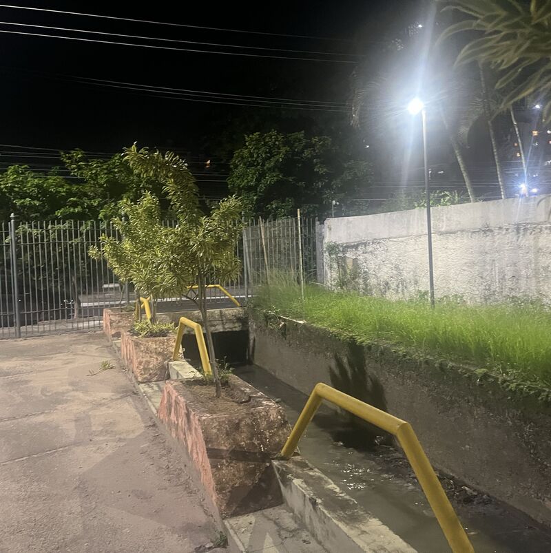 Imagem da publicação