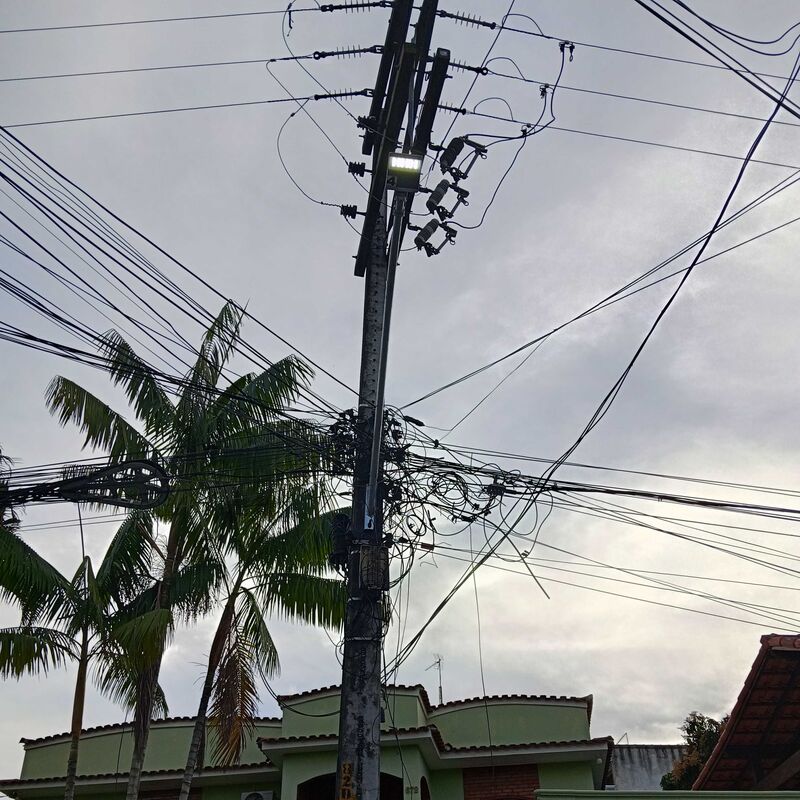 Imagem da publicação