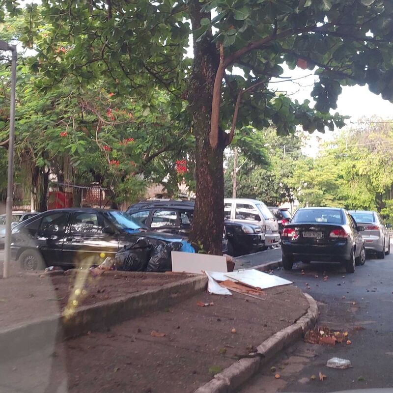 Imagem da publicação