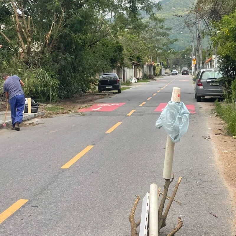 Imagem da publicação