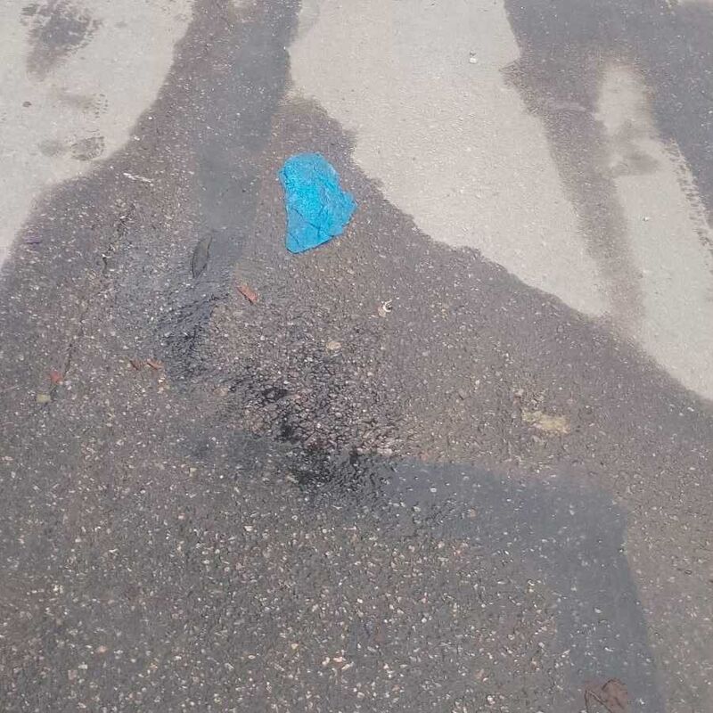 Imagem da publicação