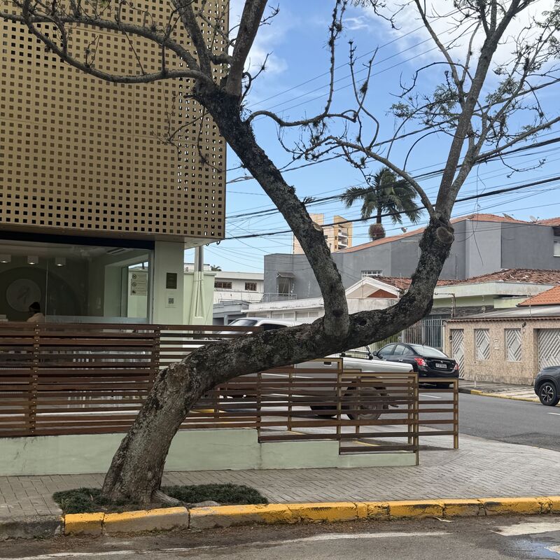 Imagem da publicação