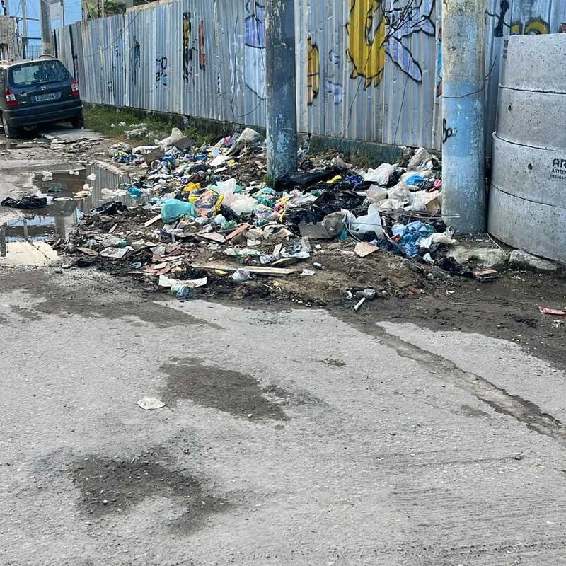 Imagem da publicação