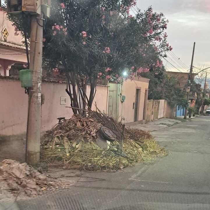Imagem da publicação