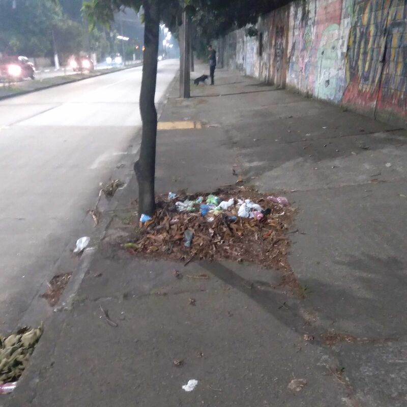 Imagem da publicação