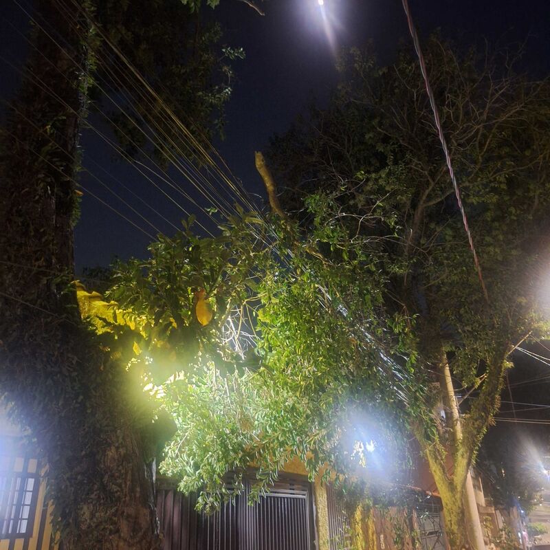 Imagem da publicação