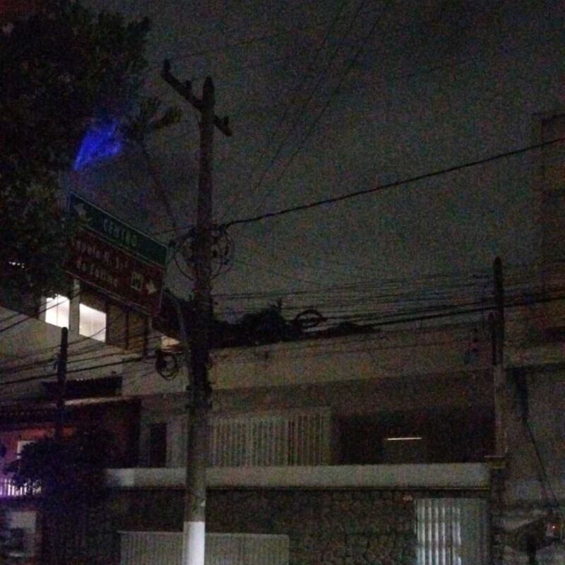 Imagem da publicação