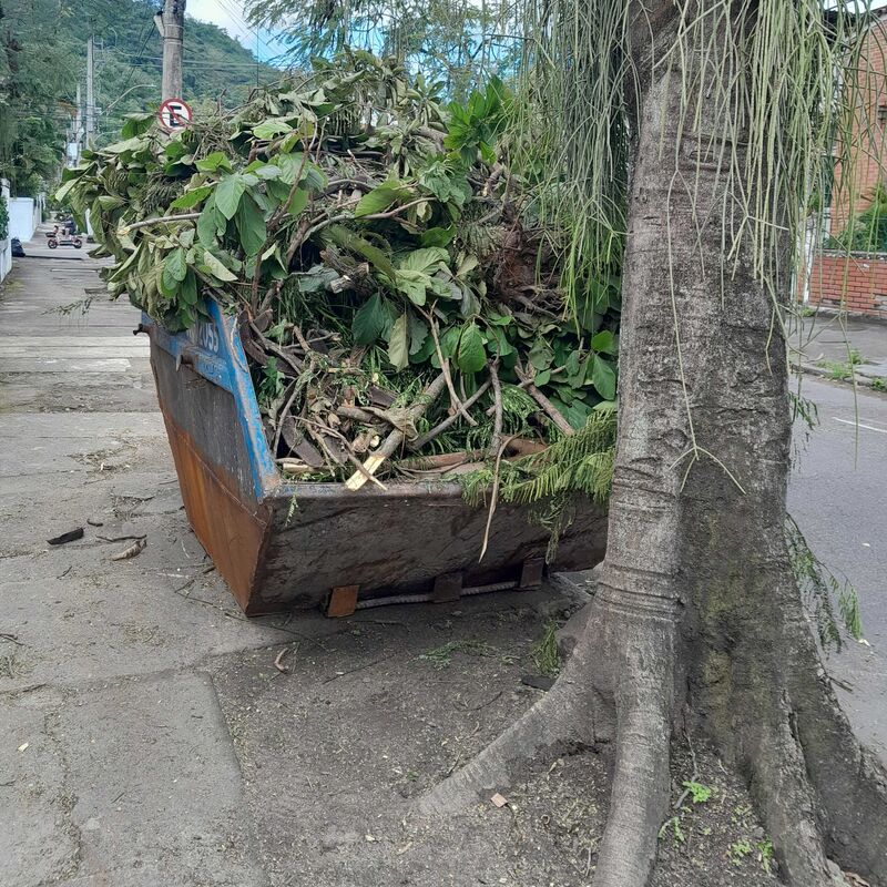 Imagem da publicação