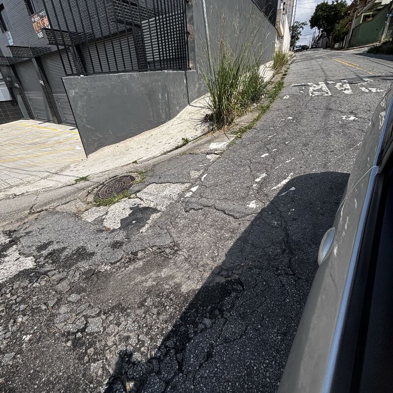 Imagem da publicação