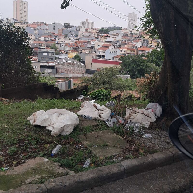 Imagem da publicação