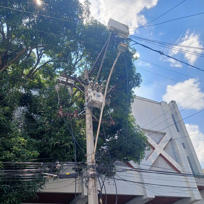 Imagem da publicação