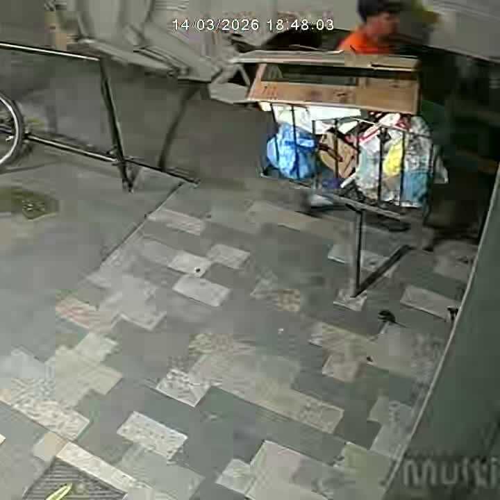 Imagem da publicação