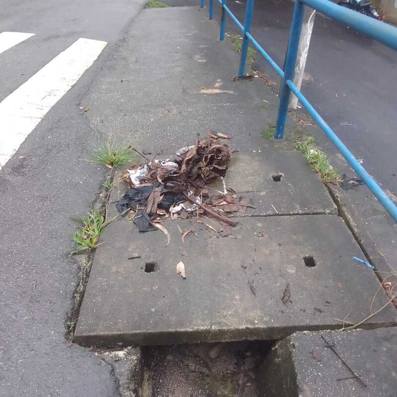 Imagem da publicação