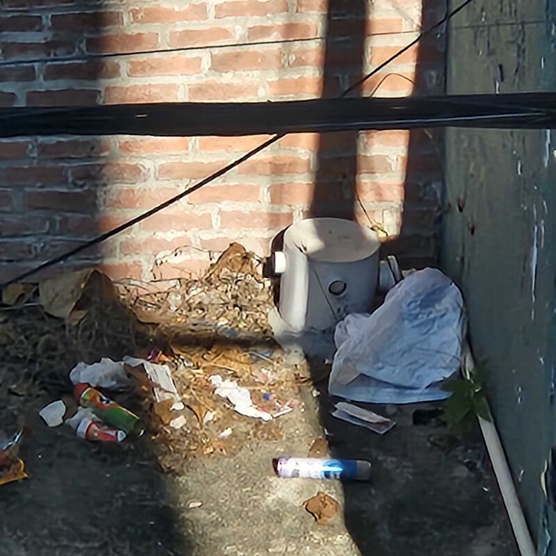 Imagem da publicação