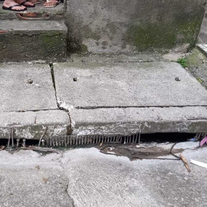 Imagem da publicação