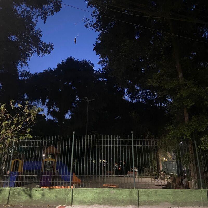 Imagem da publicação