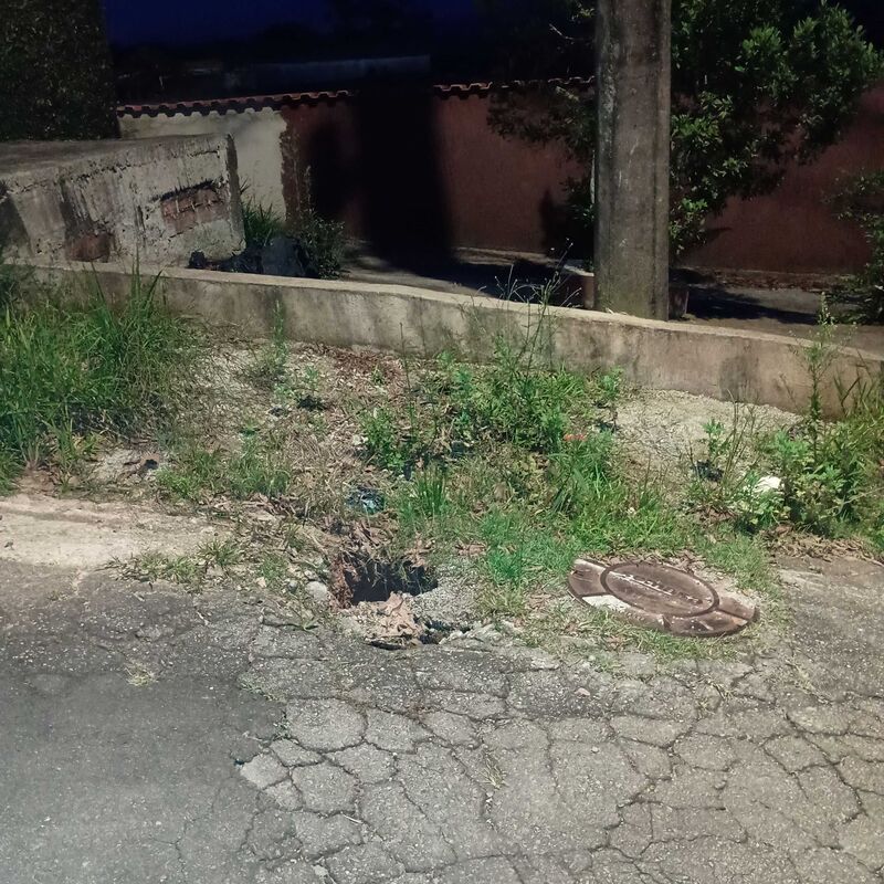 Imagem da publicação