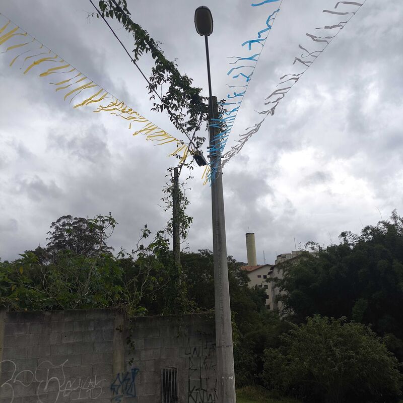 Imagem da publicação