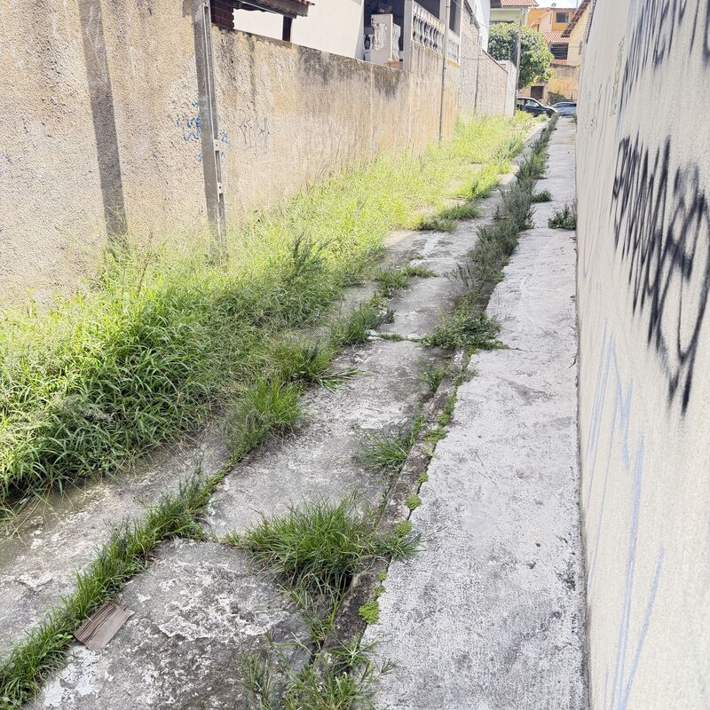 Imagem da publicação