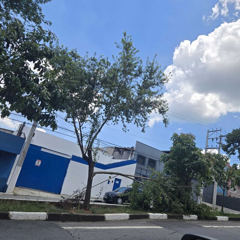 Imagem da publicação