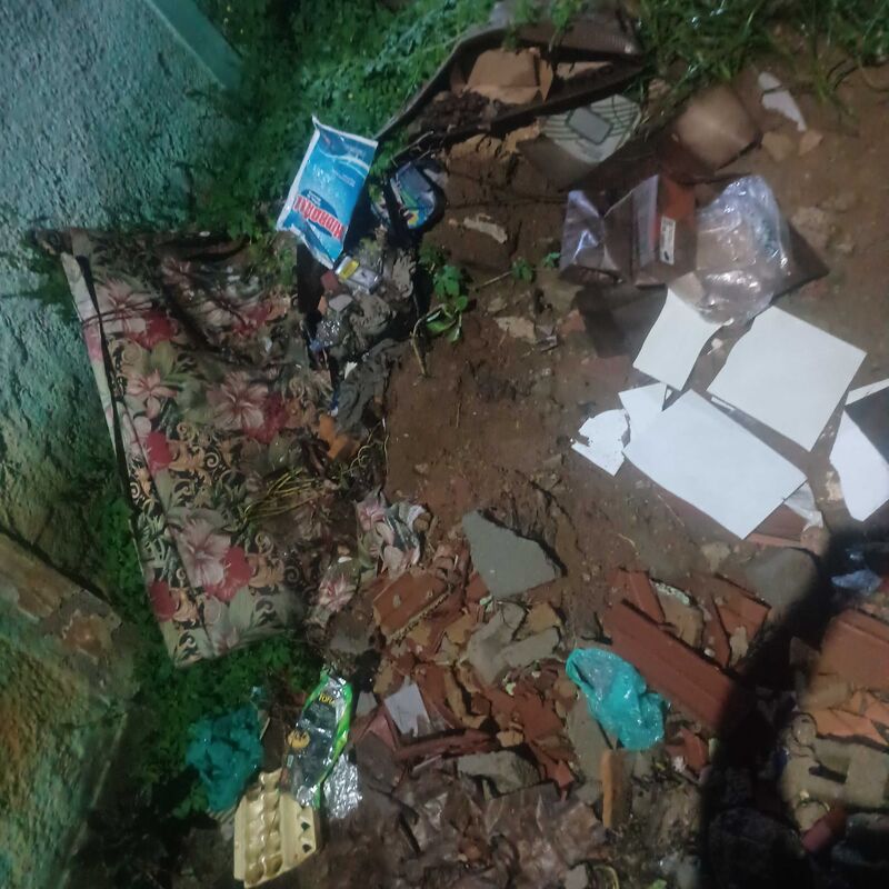 Imagem da publicação